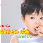 TOP 5 thương hiệu bánh ăn dặm Nhật Bản tốt nhất cho bé hiện nay