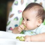 Bé tập ăn dặm BLW